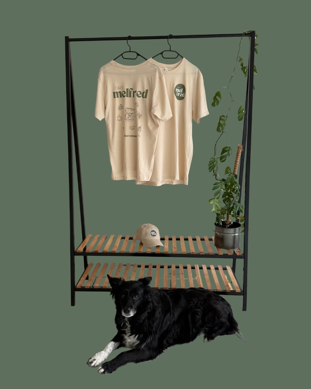 Auf einem Kleiderständer hängen zwei cremefarbene „mel fred“-T-Shirts neben einer Monstera, darunter eine Cap — und davor liegt entspannt ein schwarz-weißer Hund.
